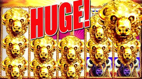 how to win on buffalo gold slot machine|Strategy, Tactics, and Rules of the Buffalo Slot Machine.